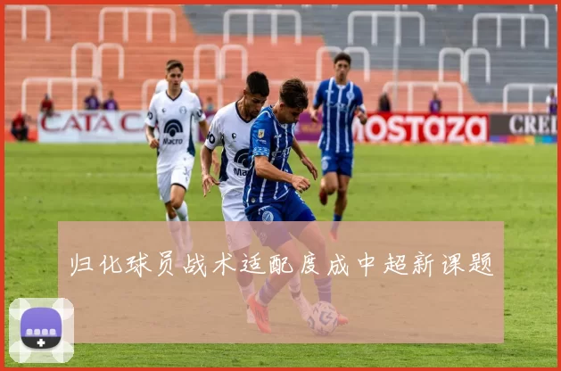 归化球员战术适配度成中超新课题