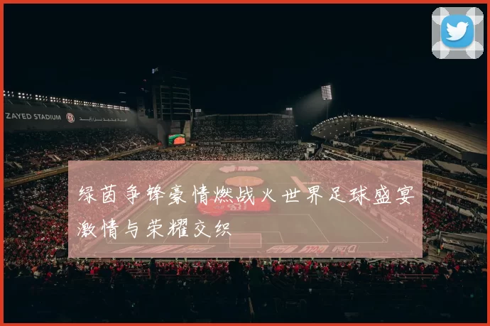 绿茵争锋豪情燃战火世界足球盛宴激情与荣耀交织