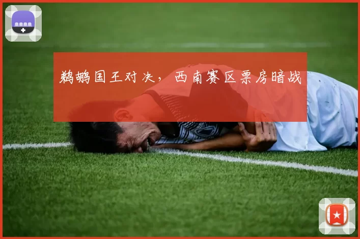 鹈鹕国王对决，西南赛区票房暗战