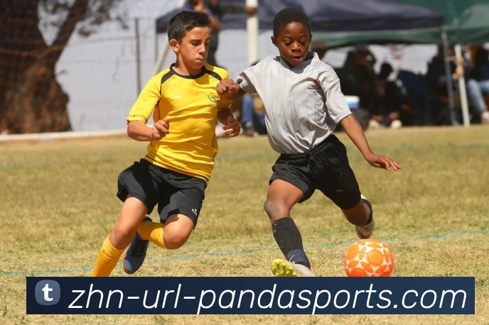 熊猫体育PANDA品牌故事