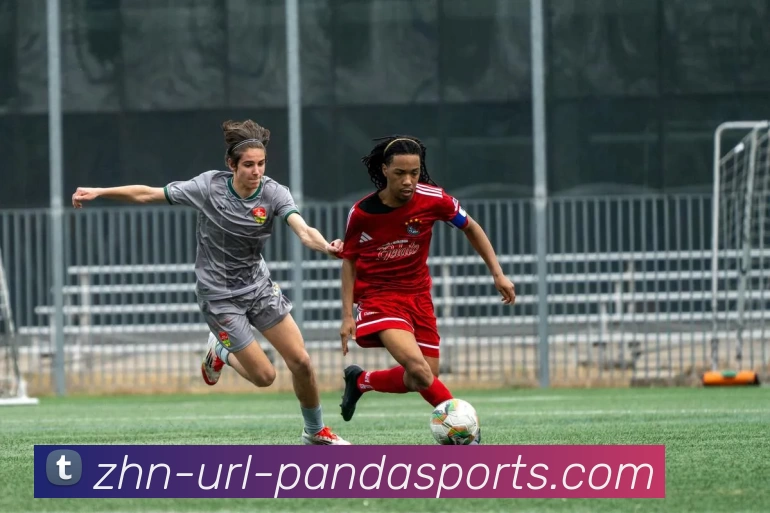 熊猫体育PANDA服务体系